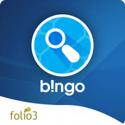 bingo elasticsearch