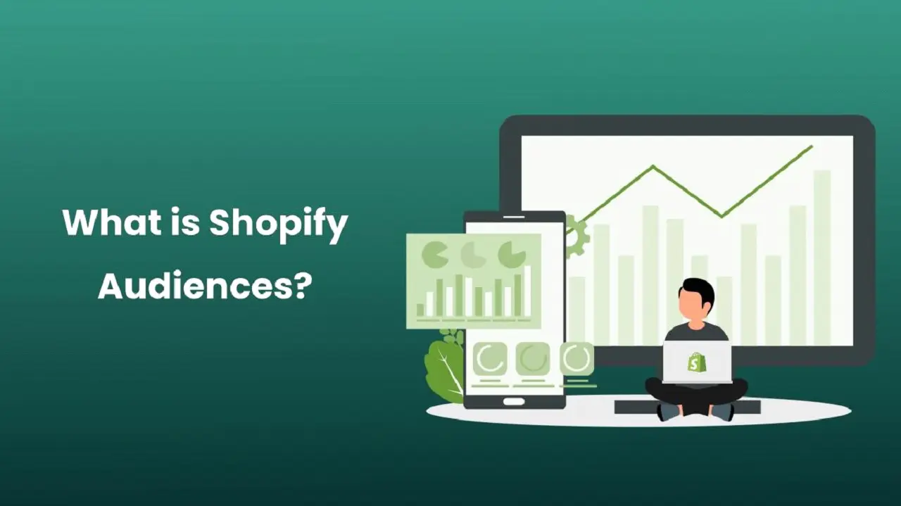 What is Shopify Audiences?
